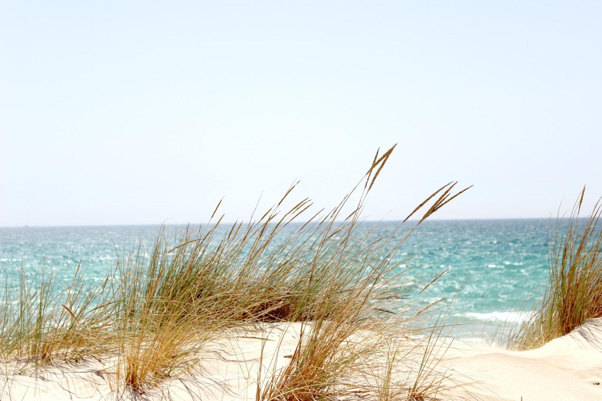 Ocean Sands Beach Inn (Adults Only) St. Augustine Εξωτερικό φωτογραφία